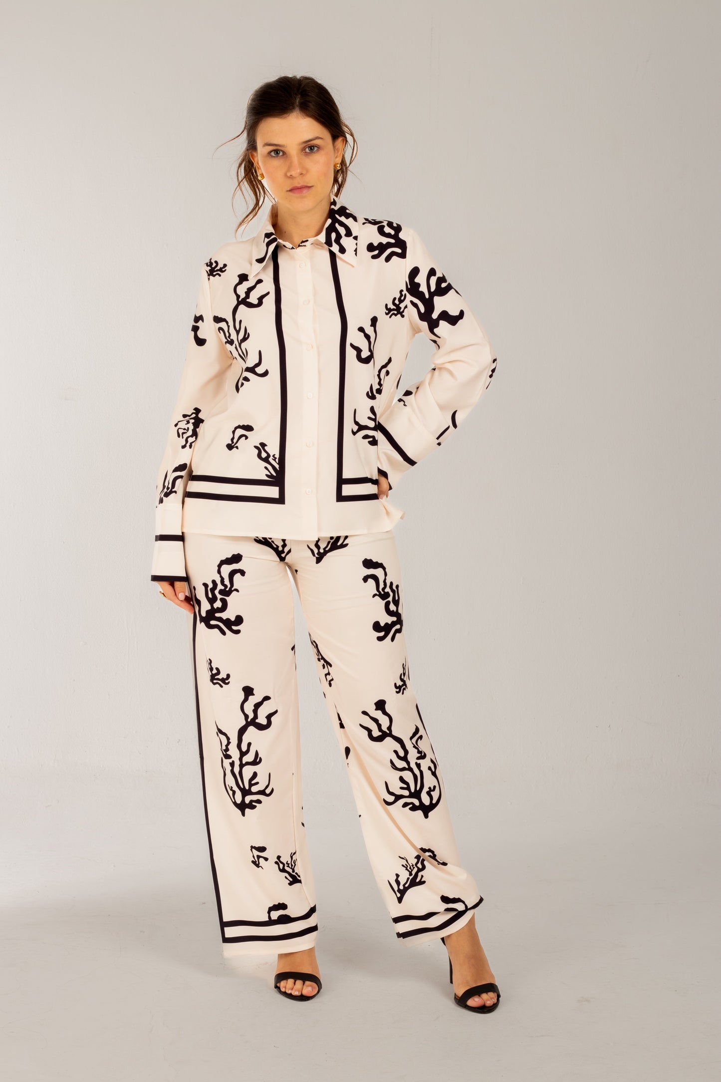 Conjunto Miranda