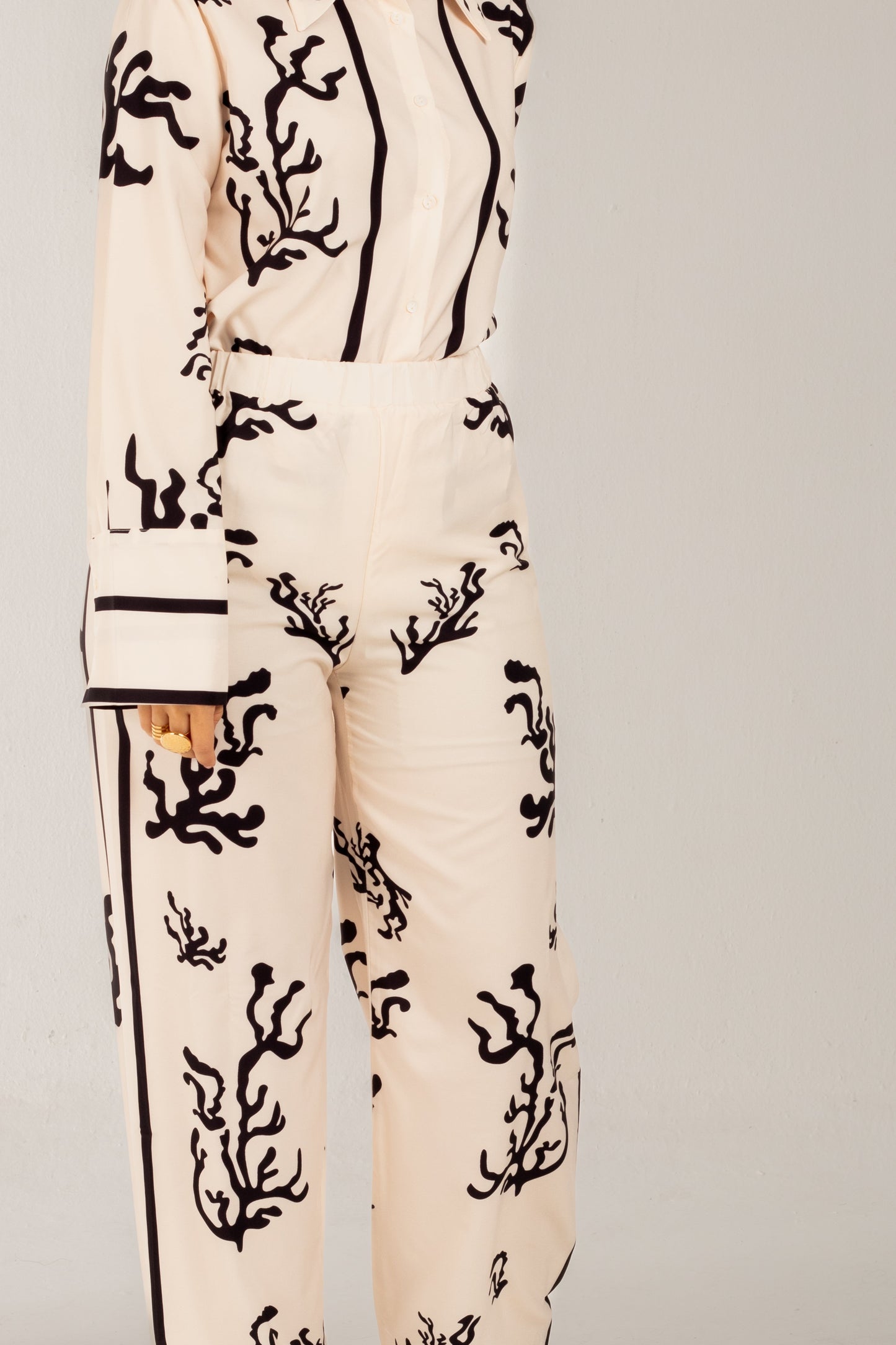 Conjunto Miranda
