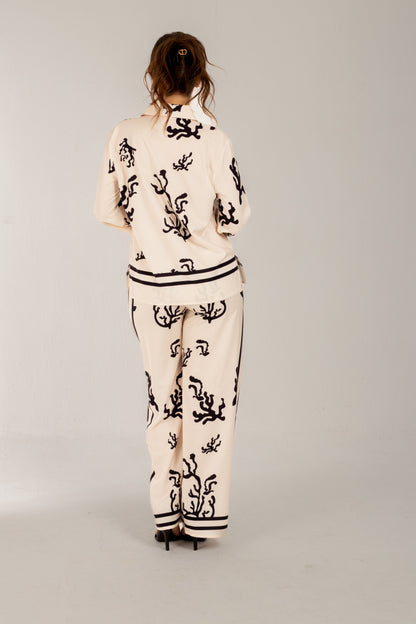 Conjunto Miranda